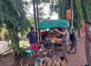Satpol PP Morut Tertibkan PKL di RTH dan Kawasan Padat Kendaraan