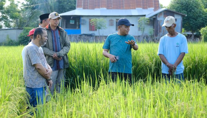 Bupati Jeneponto Tinjau Penangkaran Benih