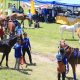 Aksi Belasan Kuda Adu Ketangkasan Di Kontes Jarang Patta’ba 