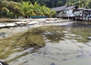 DLH Tinjau Lokasi Pencemaran Limbah Minyak di Desa Tokonanaka