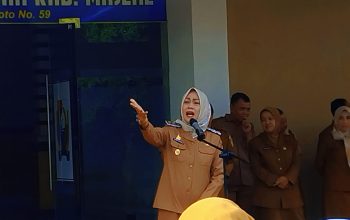 4828f787-56d6-48e9-9d3e-72c9d00921d1 4828f787-56d6-48e9-9d3e-72c9d00921d1