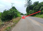 Tikungan Maut di Km 5, Kecelakaan Sering Terjadi, Warga Minta PT Vale Pasang Road Barrier
