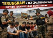 Parah! 7 TKA China Tanpa Dokumen di PT HNI Terjaring Sidak Disnaker Lutim