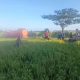 Upaya Bupati Jeneponto Antisipasi Gagal Panen di Wilayah Jeneponto