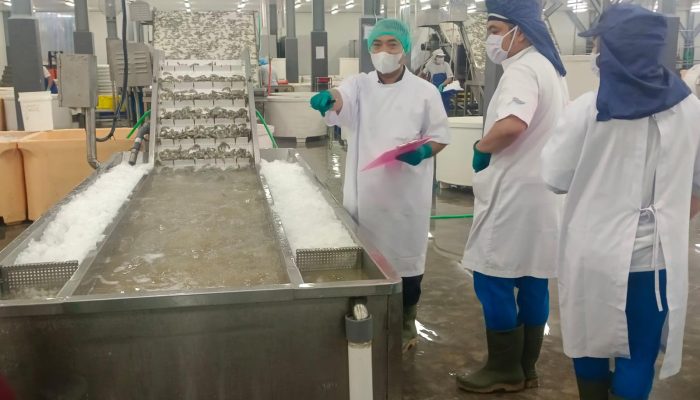 BPPMHKP Kawal Mutu, Ekspor Perikanan Indonesia Diakui 147 Negara