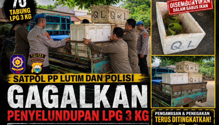 Satpol PP Lutim dan Polisi Gagalkan Penyelundupan Tabung LPG 3 Kg di Sorowako, Disembunyikan dalam Gabus Ikan