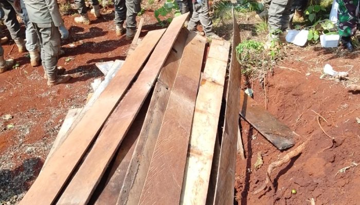 Proses Pengosongan Laoli: Satpol PP Siapkan Hunian Sementara, Barang Warga Diamankan