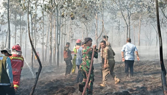 Bupati dan Kapolres Lutim Bertahan Seharian di Lokasi Kebakaran Kulhutra Desa Puncak Indah, Pantau Penanganan dari Pagi Hingga Malam