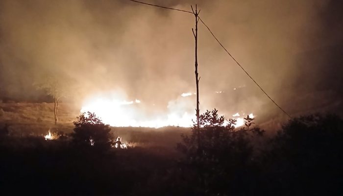 Karhutla di Towuti: 5 Titik Api, 10 Hektare Lahan Terbakar, Penyebab Masih Diselidiki