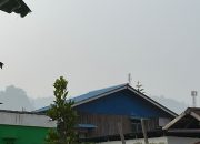 Kabut Asap Kepung Luwu Timur dan Morowali Utara, Jarak Pandang Terbatas