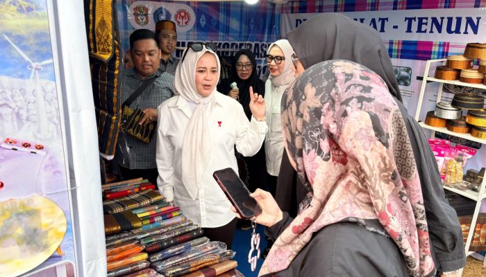 Wagub Sulsel Terpikat Keindahan Kain Taipa, Borong Produk UMKM di Expo Luwu Timur